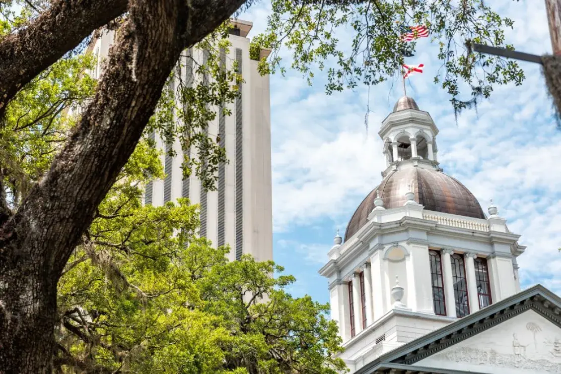 Skyward view of the Florida State Capitol framed by trees
