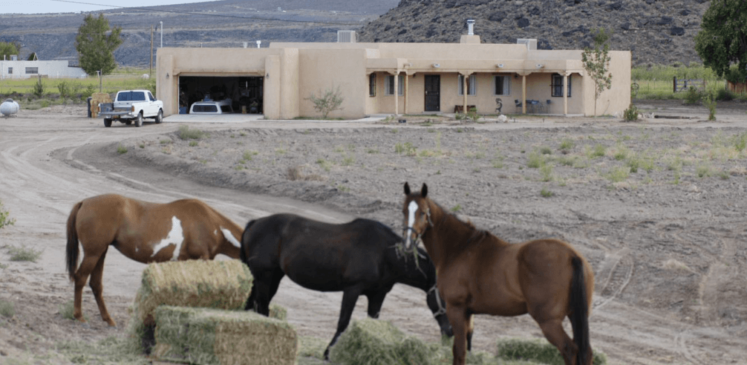 Three horses eating hay outside of a house