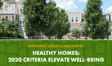 green healthy homes banner