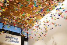 Colorful origami cranes hanging from the ceiling