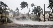 Palm trees sway in the wind as a storm floods a neighborhood street