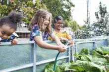A young girl waters a garden as two girls watch