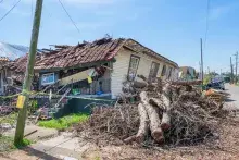 Home destroyed by hurricane surrounded by downed trees
