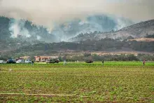Farmworkers in the fields with fires in the hills in the background
