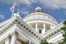 White domed building with flags