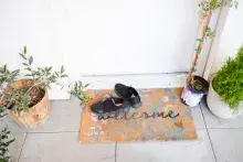 A welcome mat with shoes in front of a doorway with flower pots on both sides