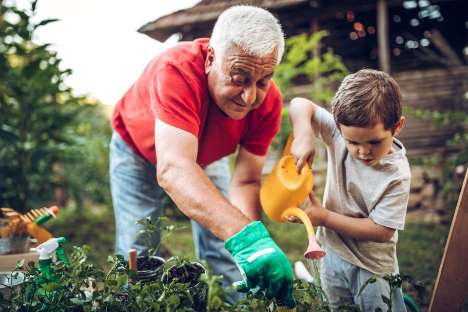 Grandfather gardening with his young grandson