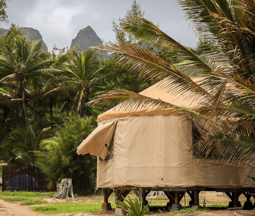 Island community yurt