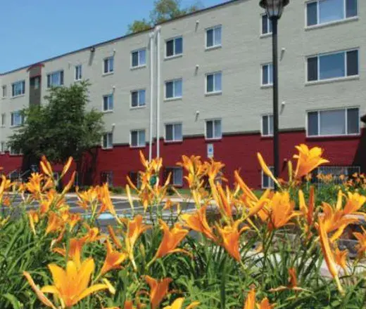 daylilies in front of community building