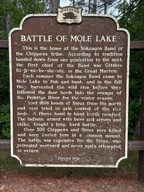 Battle of Mole Lake