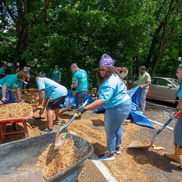 A group of people use tarps and shovels to transfer dirt into wheelbarrows