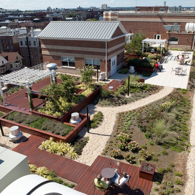 Aerial view of a rooftop garden