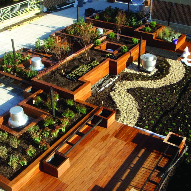 Aerial view of a rooftop garden featuring wood planters 