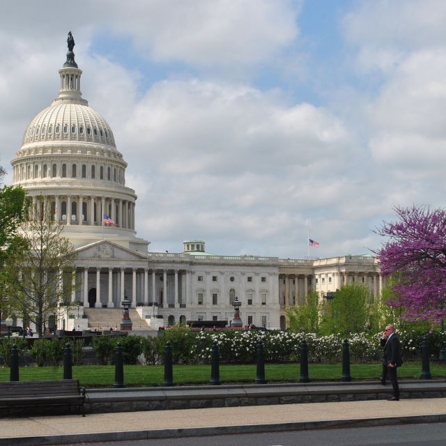 Front facade of U.S. Capitol building flanked by trees in the foreground, some with purple blooms. 