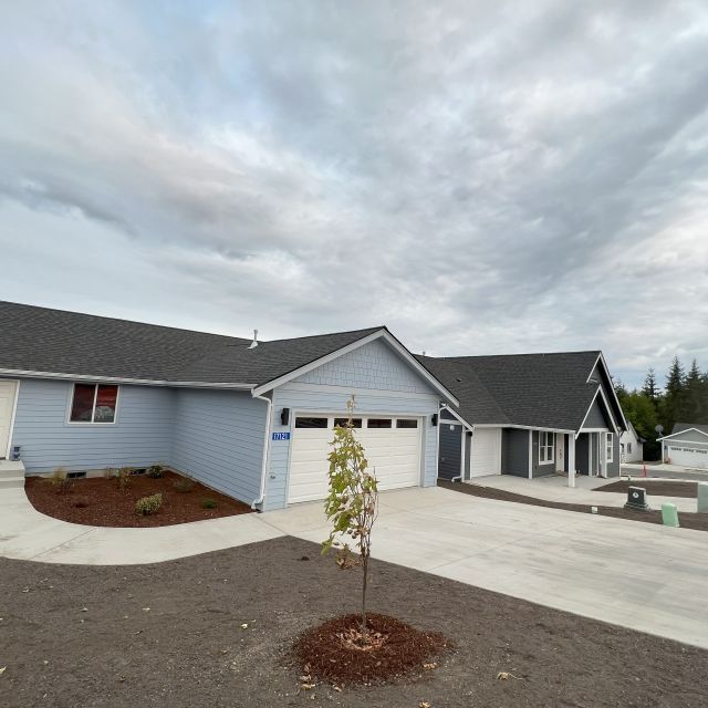 New home with tree planted in front