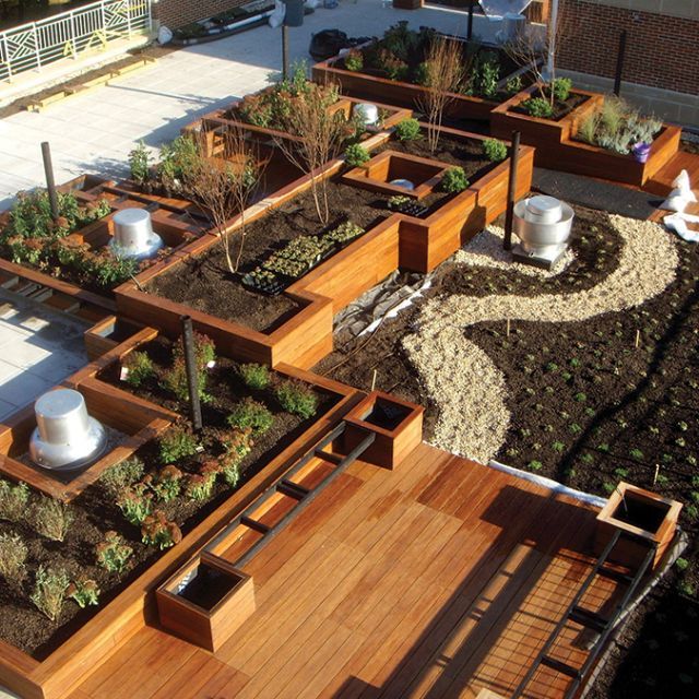 Aerial view of a rooftop garden