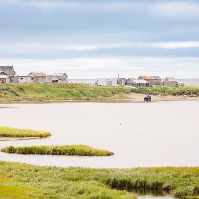 A view of a beach and grassy land