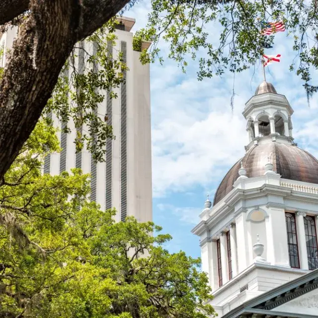 Skyward view of the Florida State Capitol framed by trees