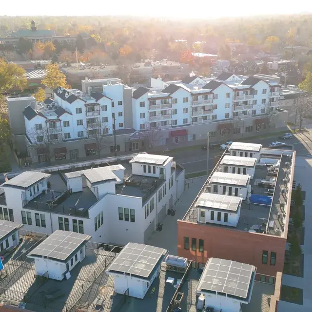 Sunlit aerial view of housing development 