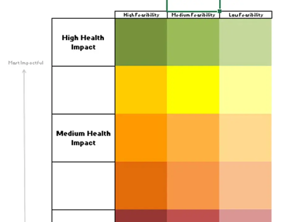 Health Action Plan Strategy Prioritization Template