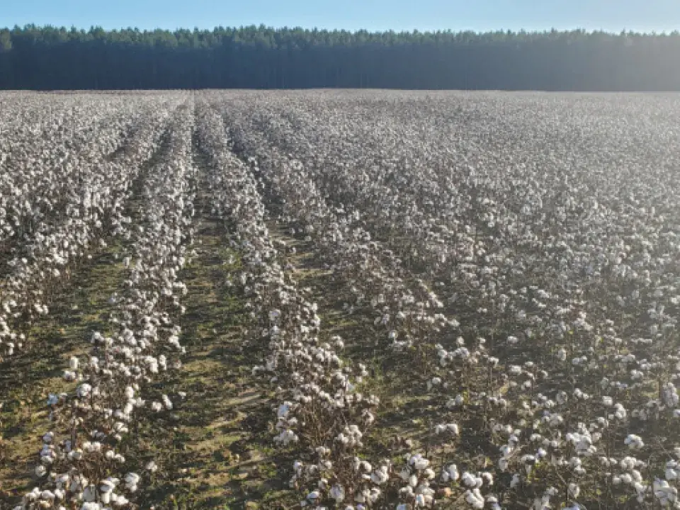 Rural Housing, Race and Persistent Poverty