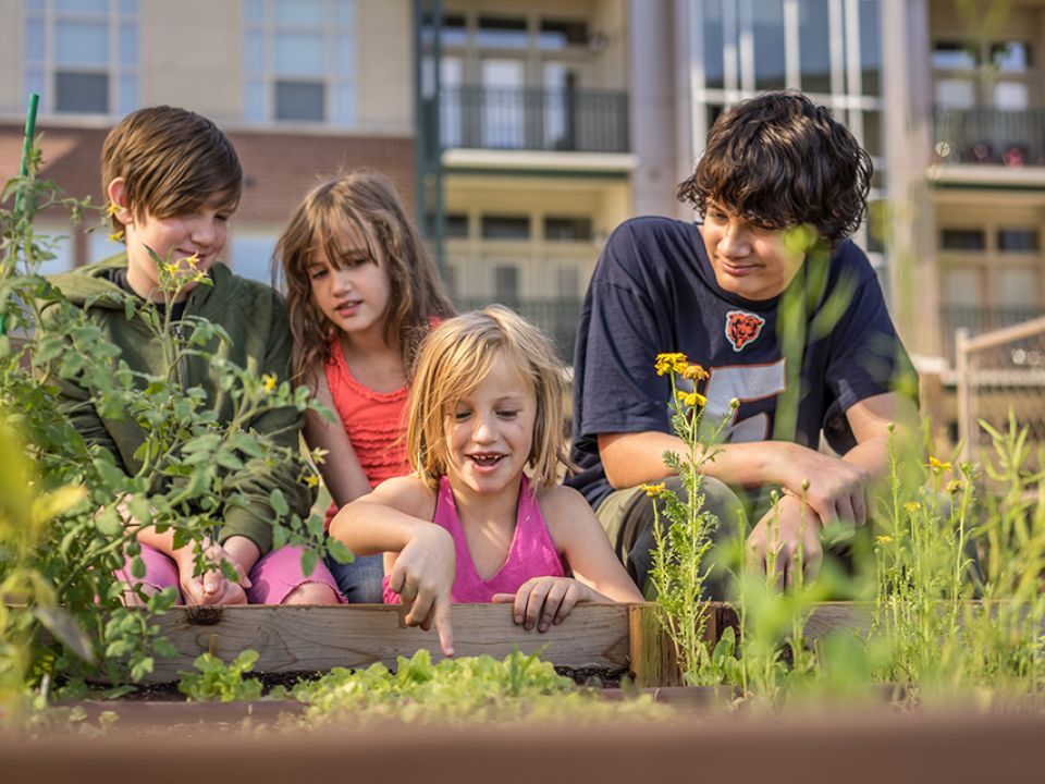 Four children planting in a garden