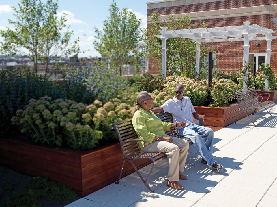 Two people sitting on a bench talking surrounded by greenery