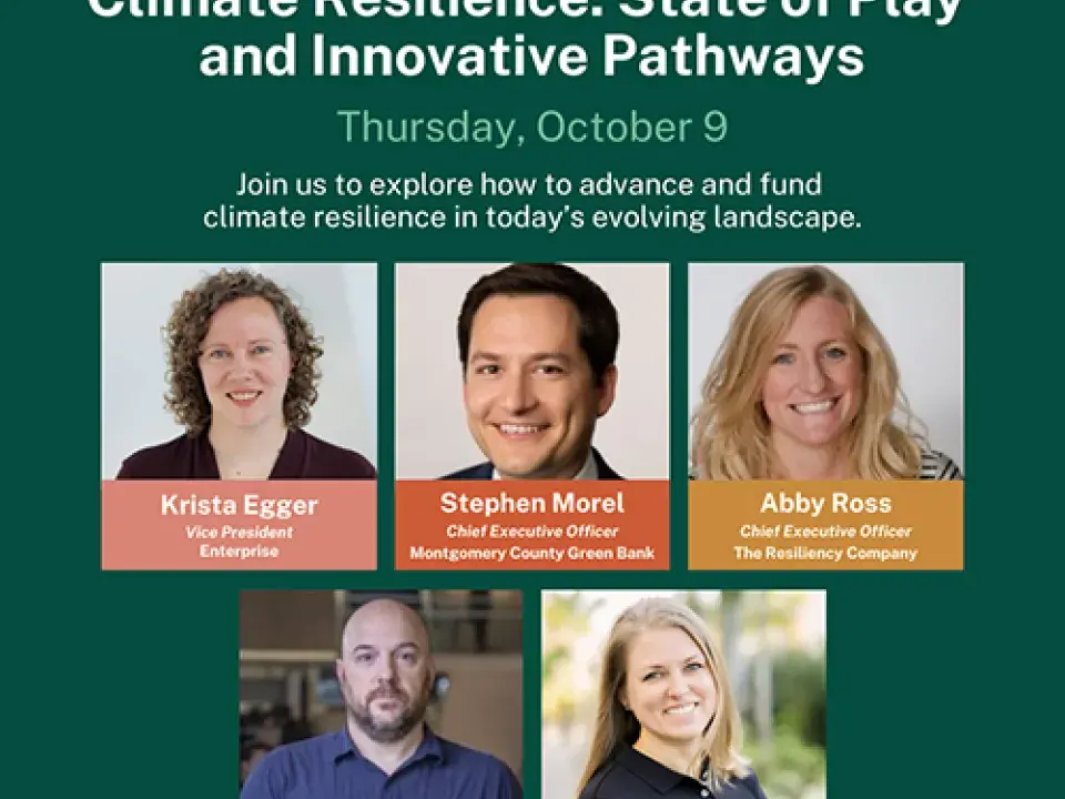 Climate Resilience: State of Play and Innovative Pathways