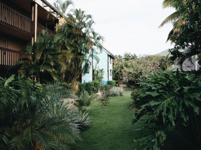 Two story apartment building in development with palm trees and other foliage